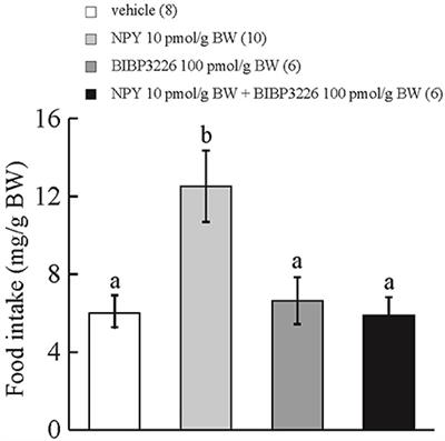 Neuropeptide Y-Induced Orexigenic Action Is Attenuated by the Orexin Receptor Antagonist in Bullfrog Larvae